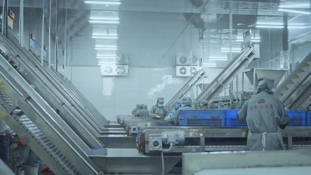 lehu - 乐虎 -(88国际)唯一官方网站